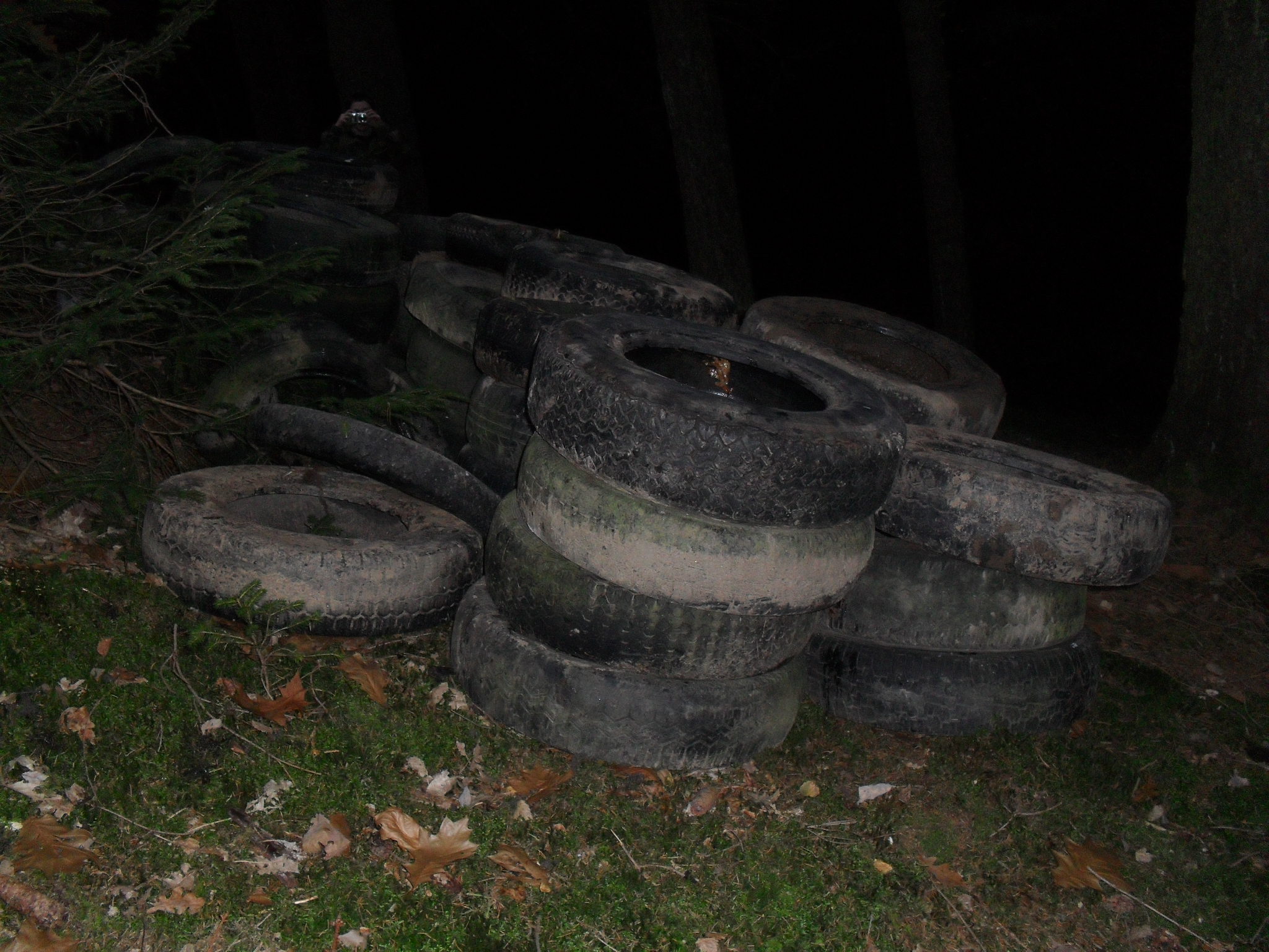 skládka zruč září 044