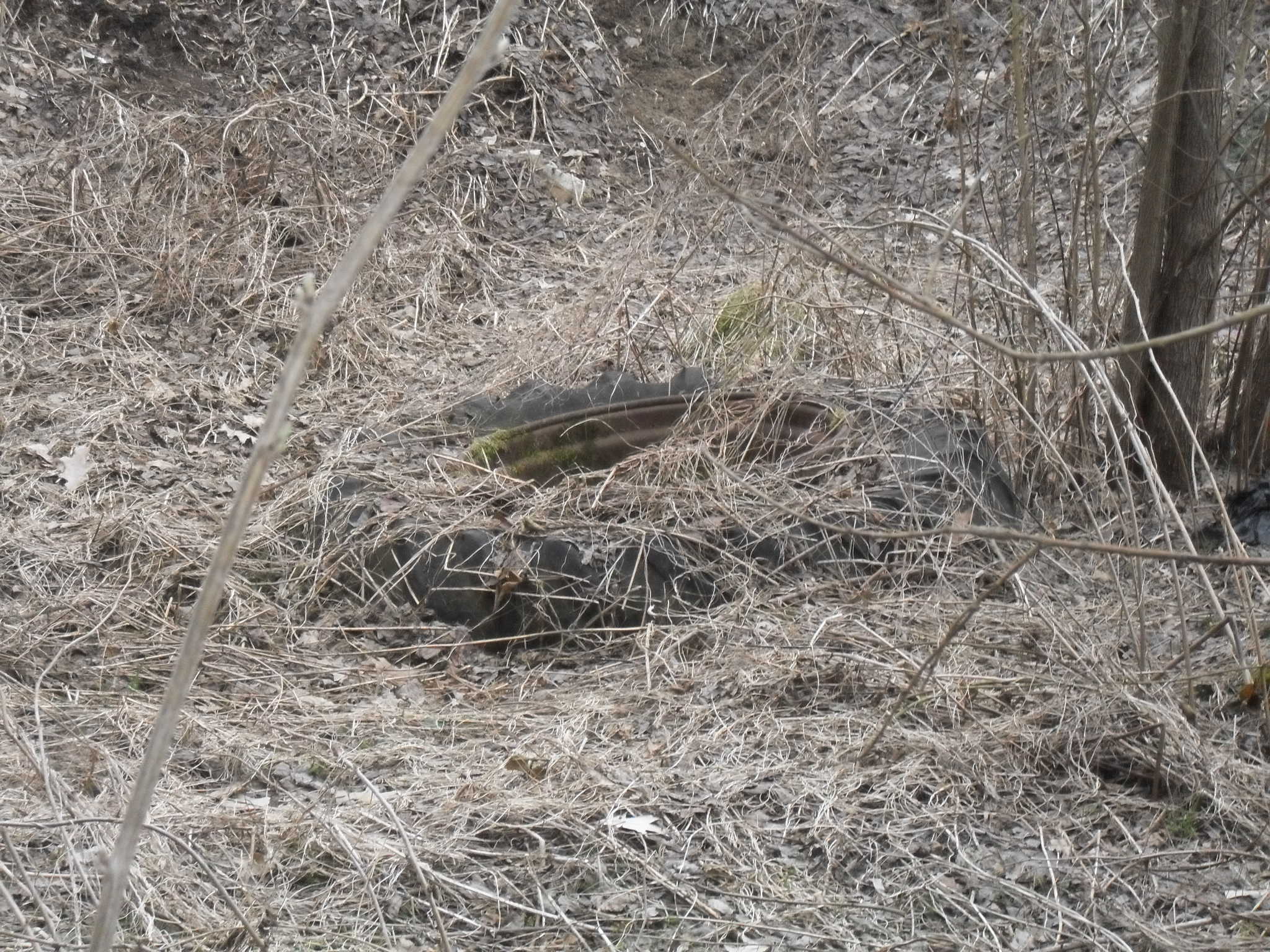 Zadní kolo od traktoru i s diskem...