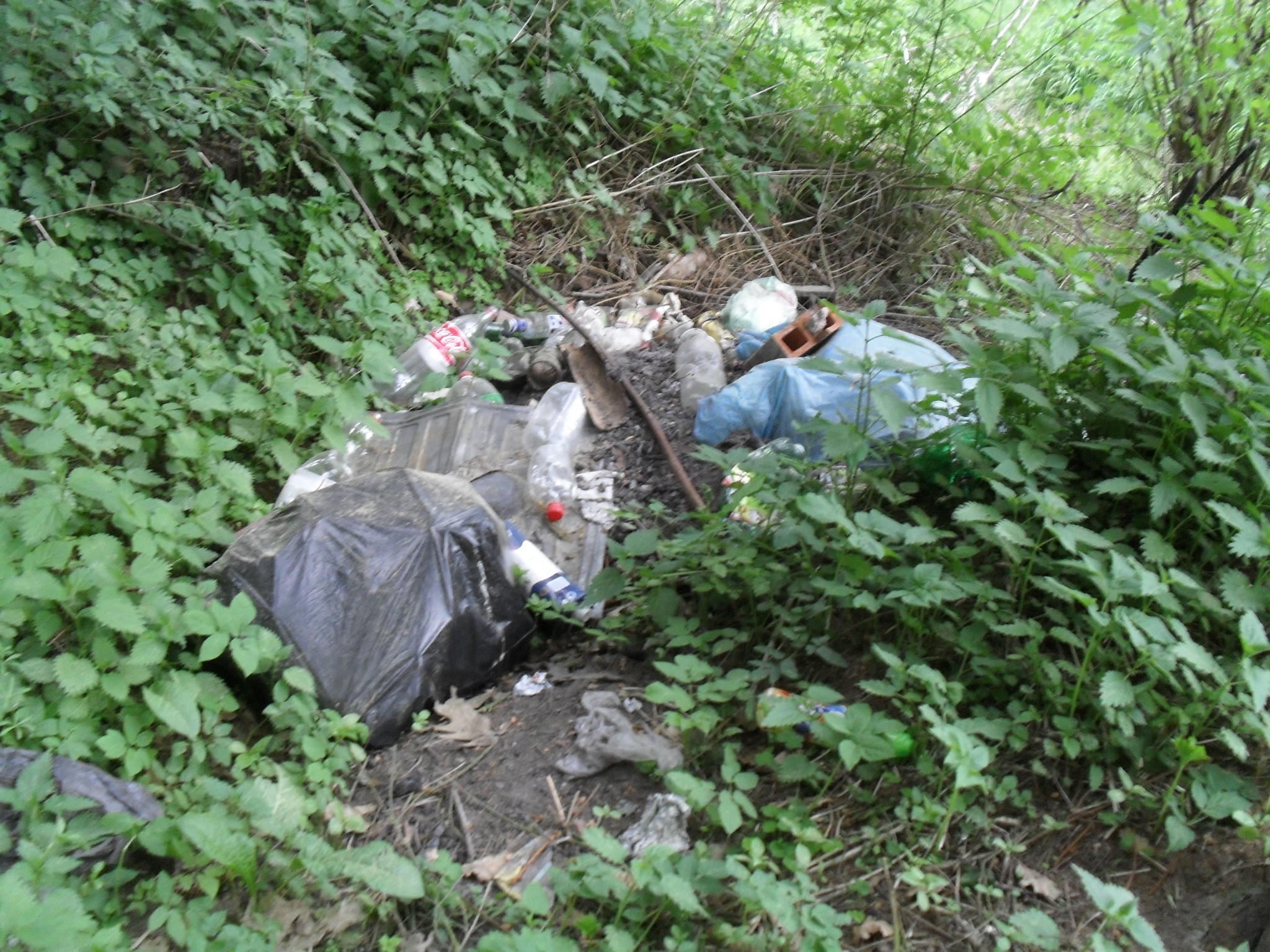 Zruč skládka-komunální odpad.