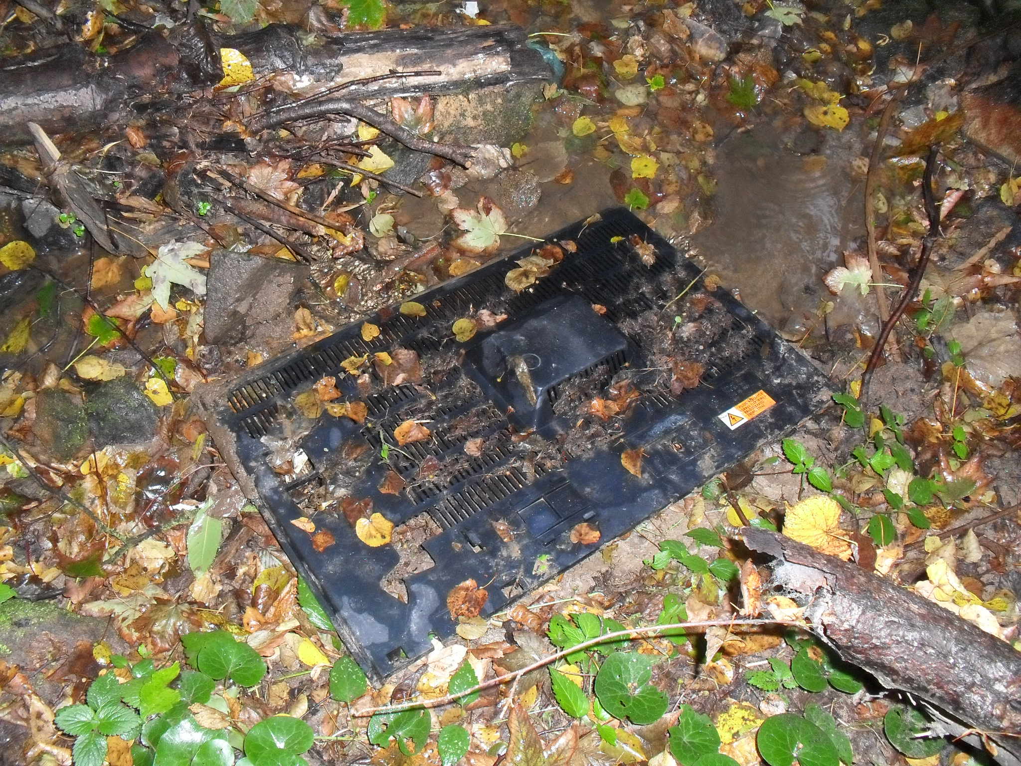 rokle říjen 2011 012