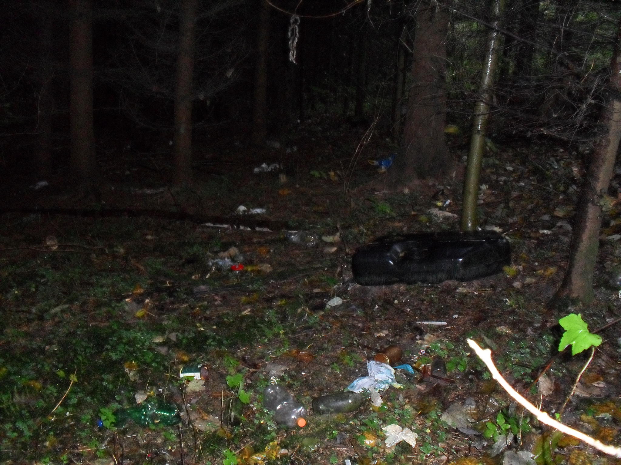 rokle říjen 2011 014