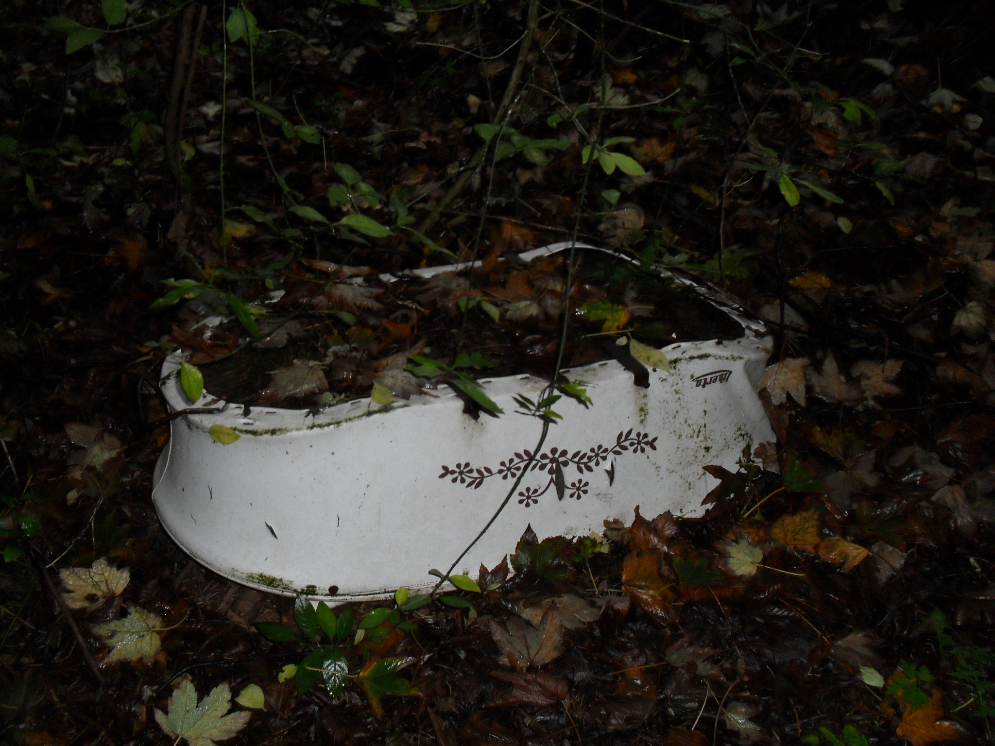 rokle říjen 2011 017