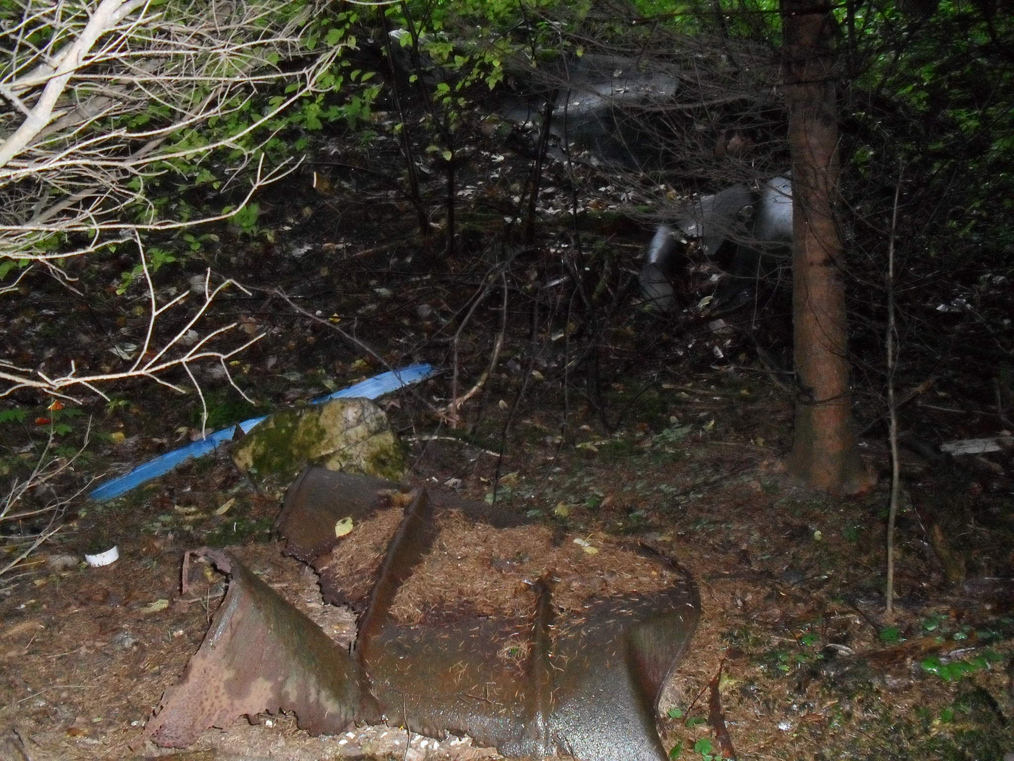 rokle říjen 2011 019