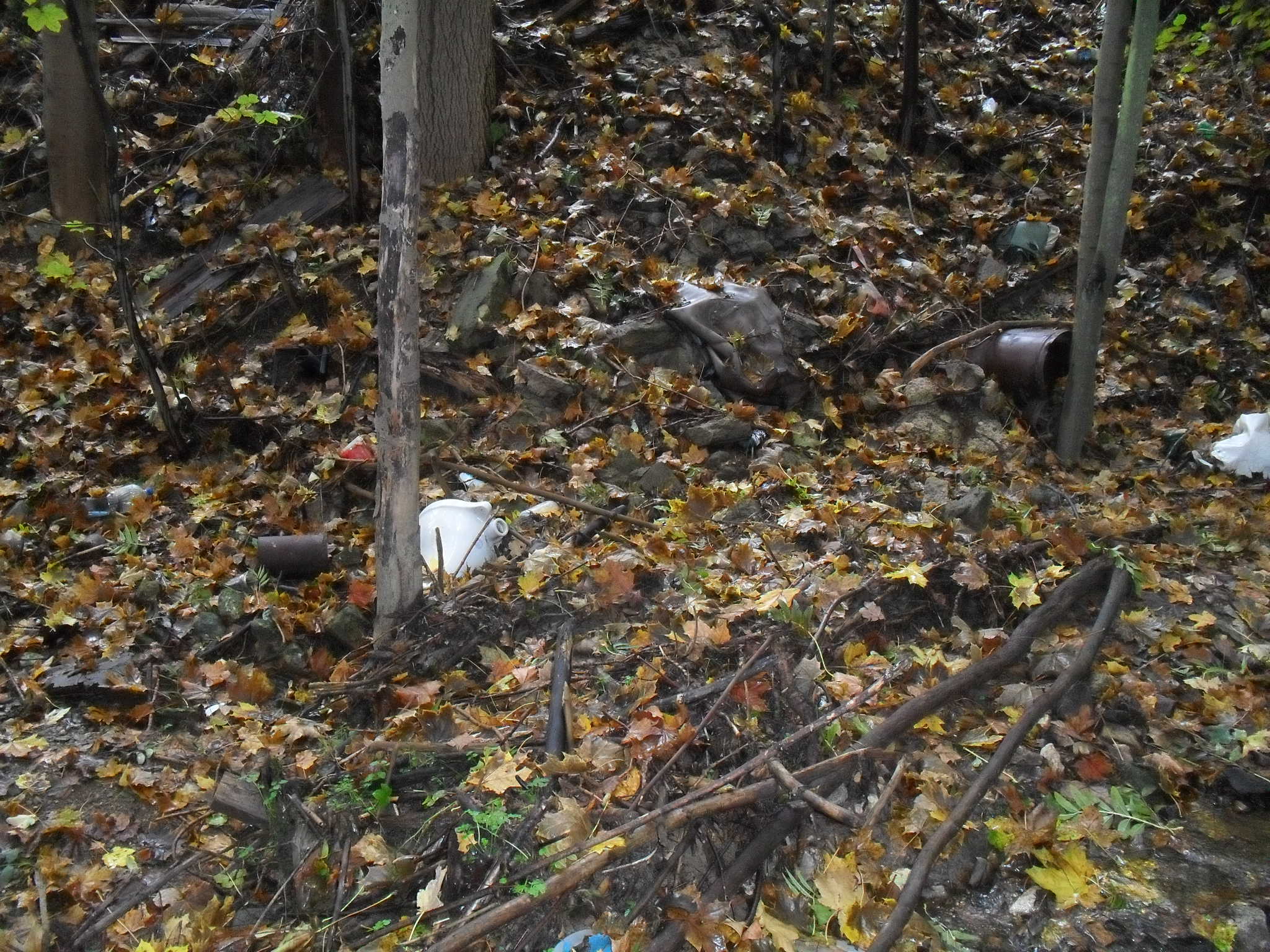 rokle říjen 2011 027