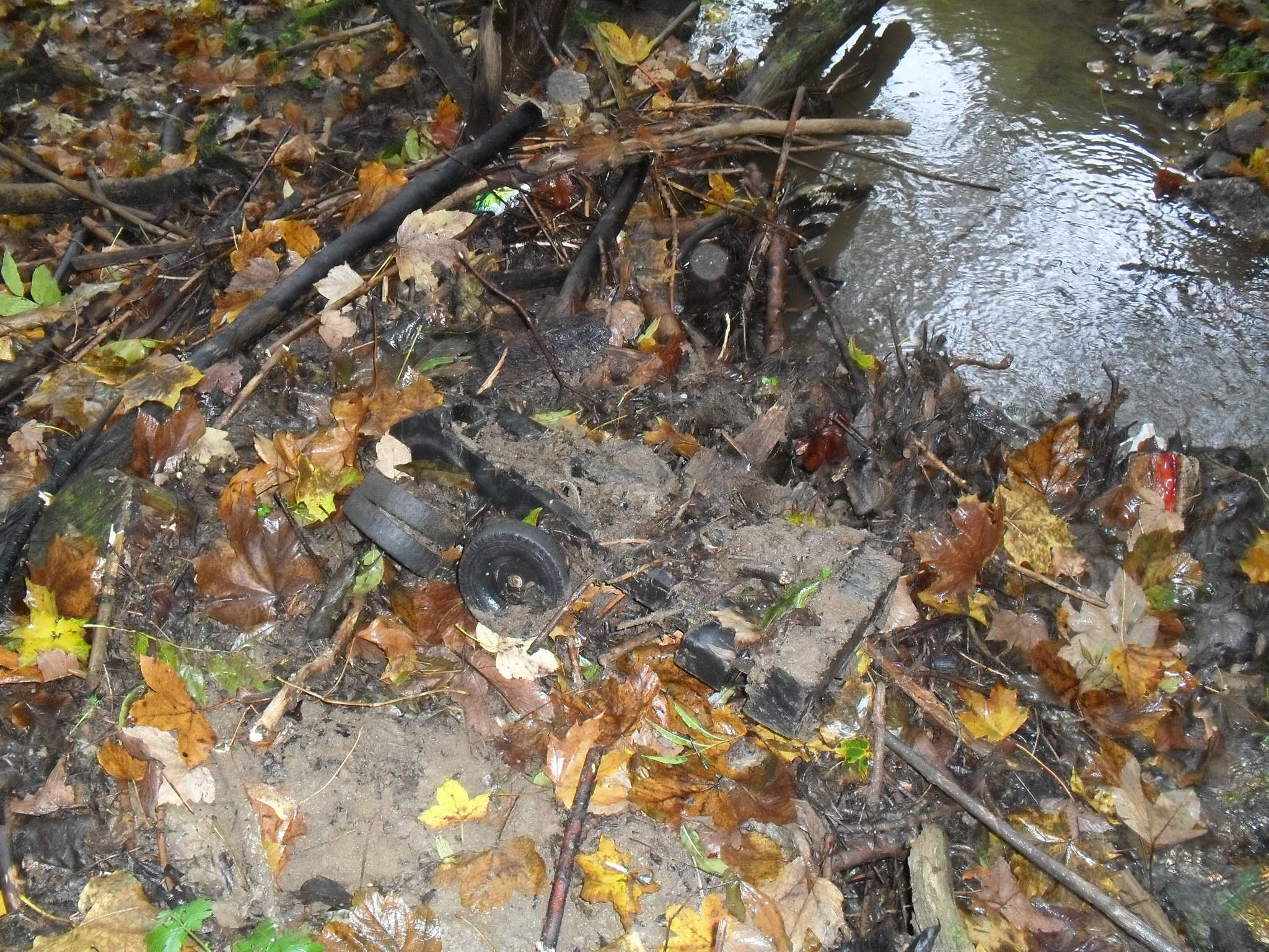 rokle říjen 2011 029